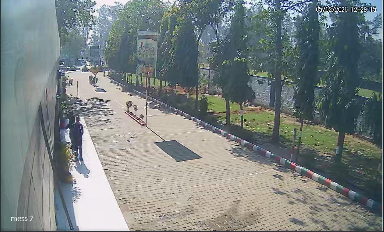 Back Gate CCTV