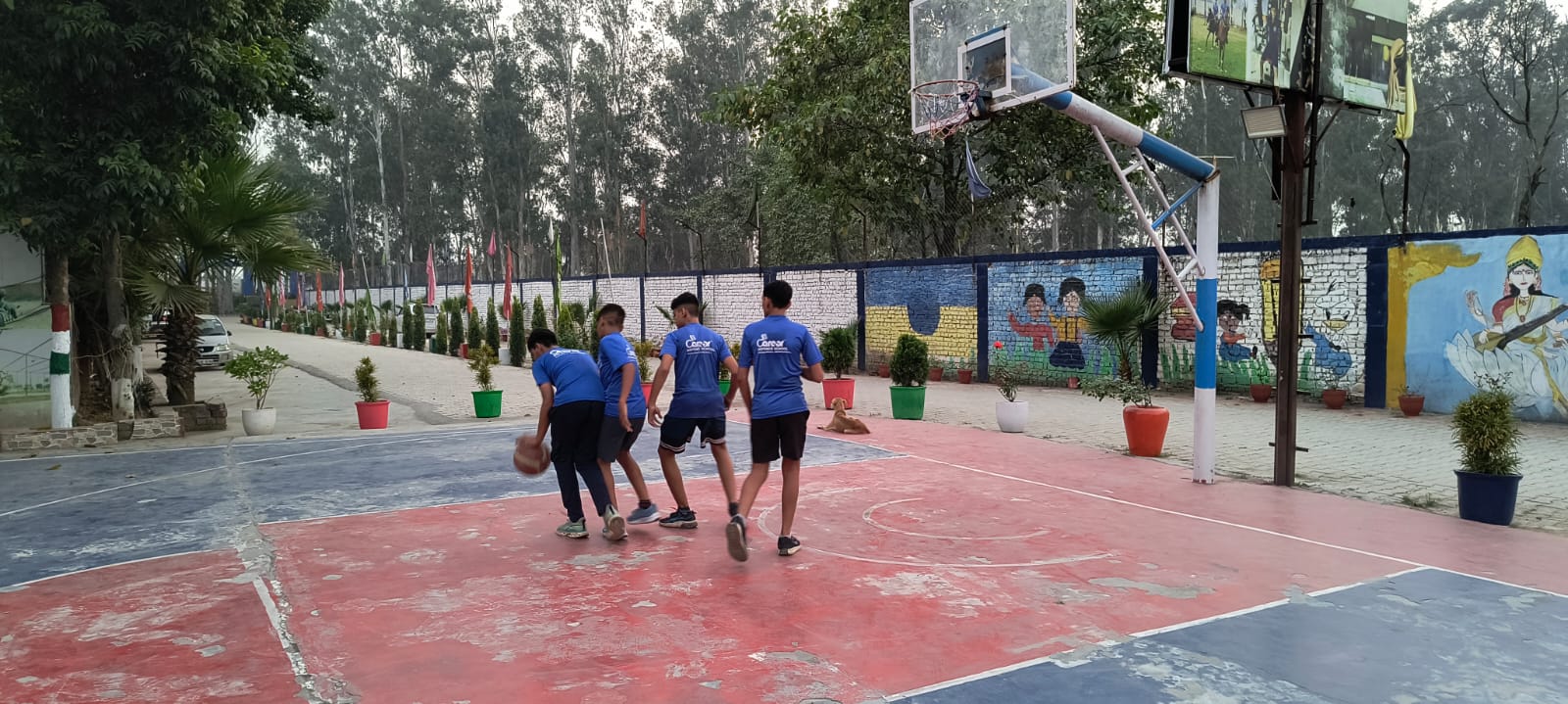 Badminton Courts